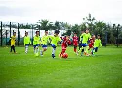 铝铜排,kaiyun体育官网入口网页版,开云体育,开云体育,开云体育官网,开云体育app,开云体育平台,KAIYUN,SPORTS,kaiyun登录入口