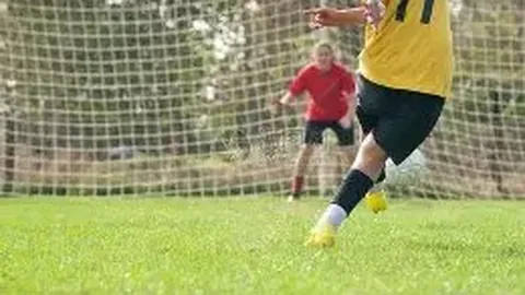 kaiyun体育官网入口网页版