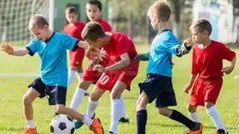 kaiyun体育官网入口网页版 资讯 141532 ncq